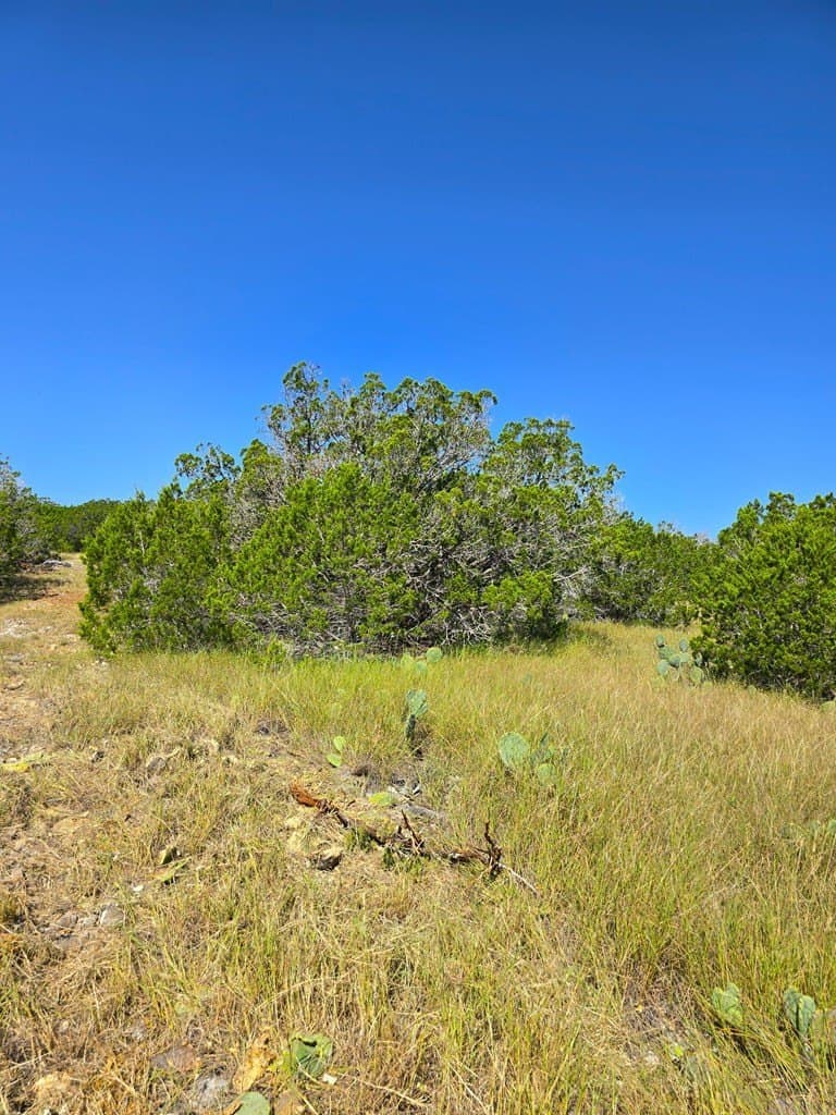 60.01 acres in Real County - photo 23