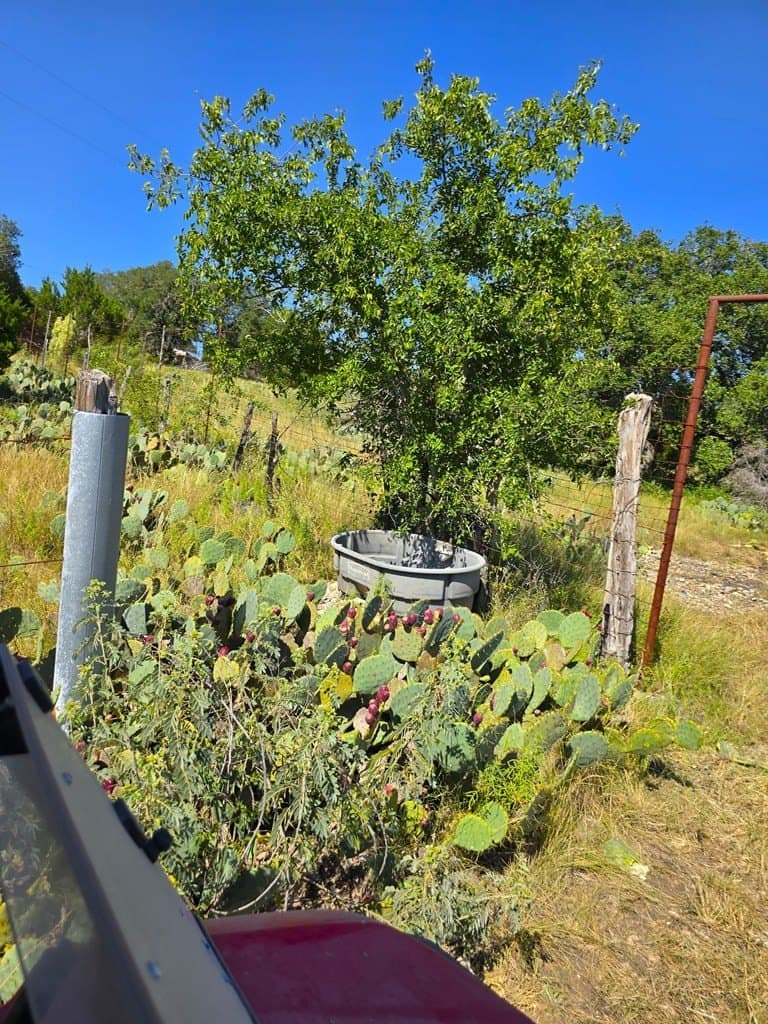 60.01 acres in Real County - photo 27