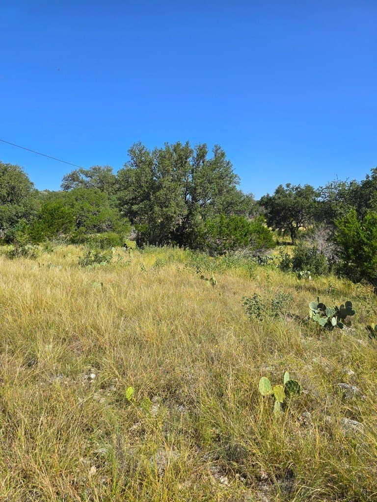 60.01 acres in Real County - photo 34