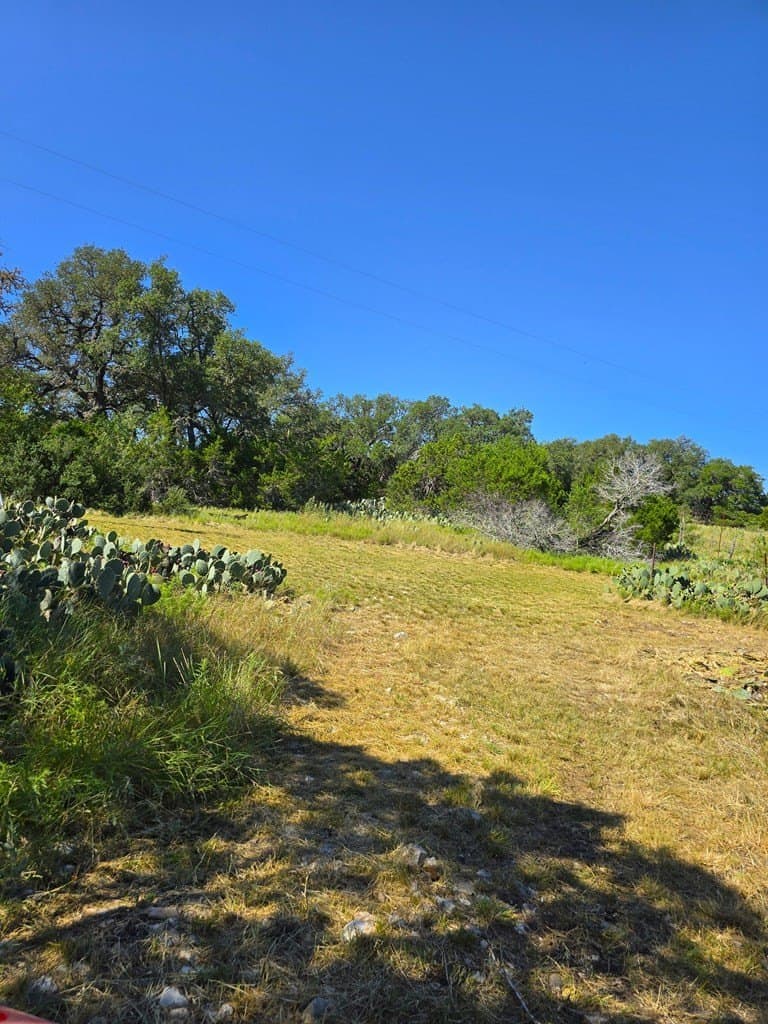 60.01 acres in Real County - photo 25