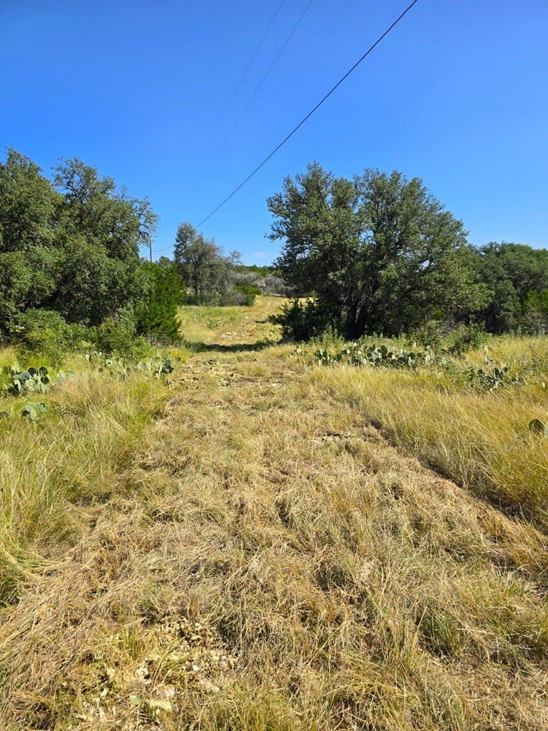 60.01 acres in Real County - photo 37