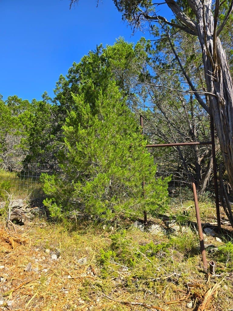 60.01 acres in Real County - photo 58