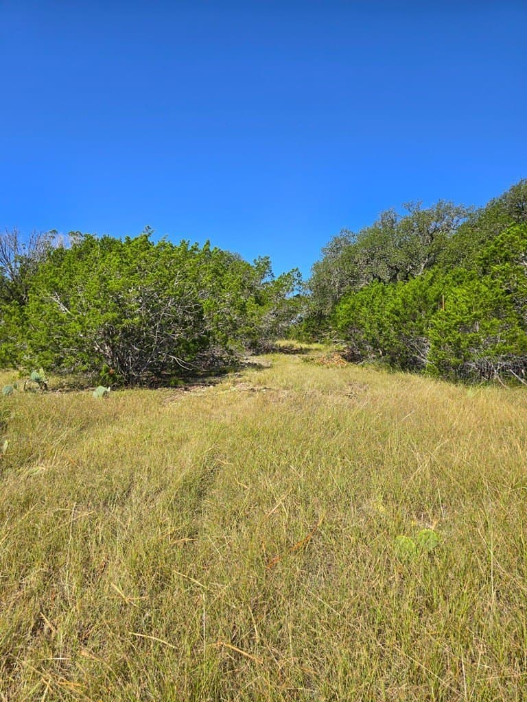 60.01 acres in Real County - photo 63