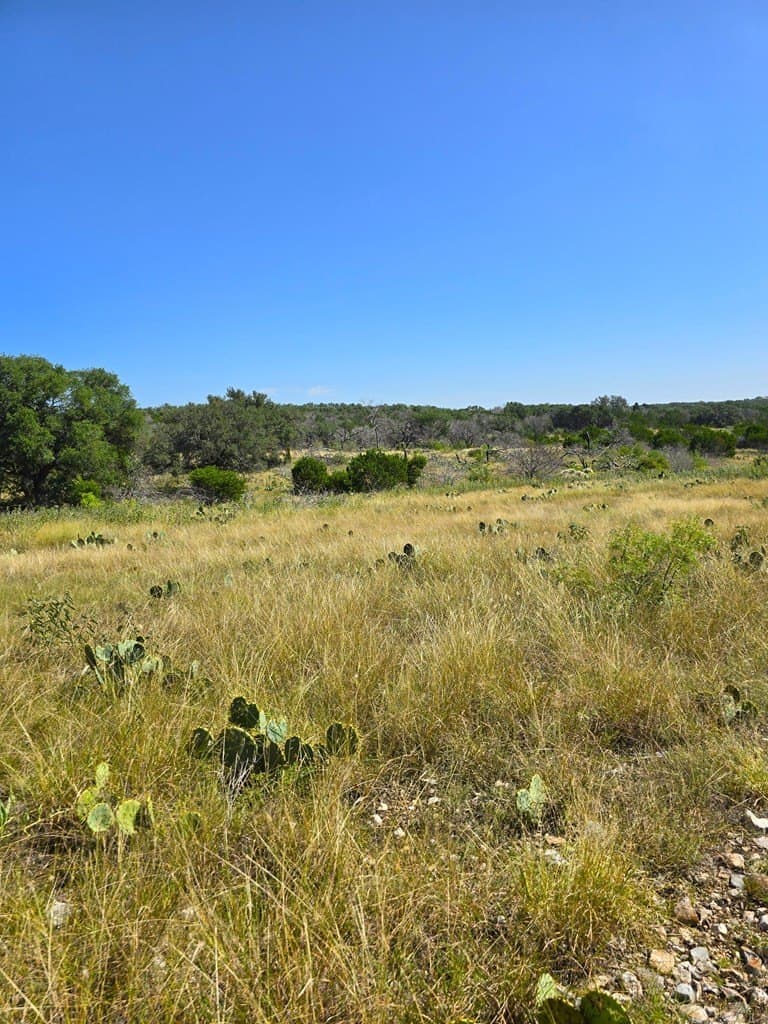 60.01 acres in Real County - photo 33