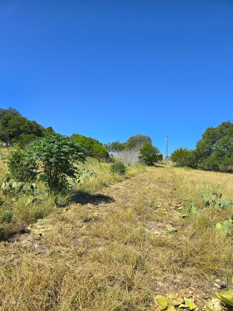 60.01 acres in Real County - photo 31