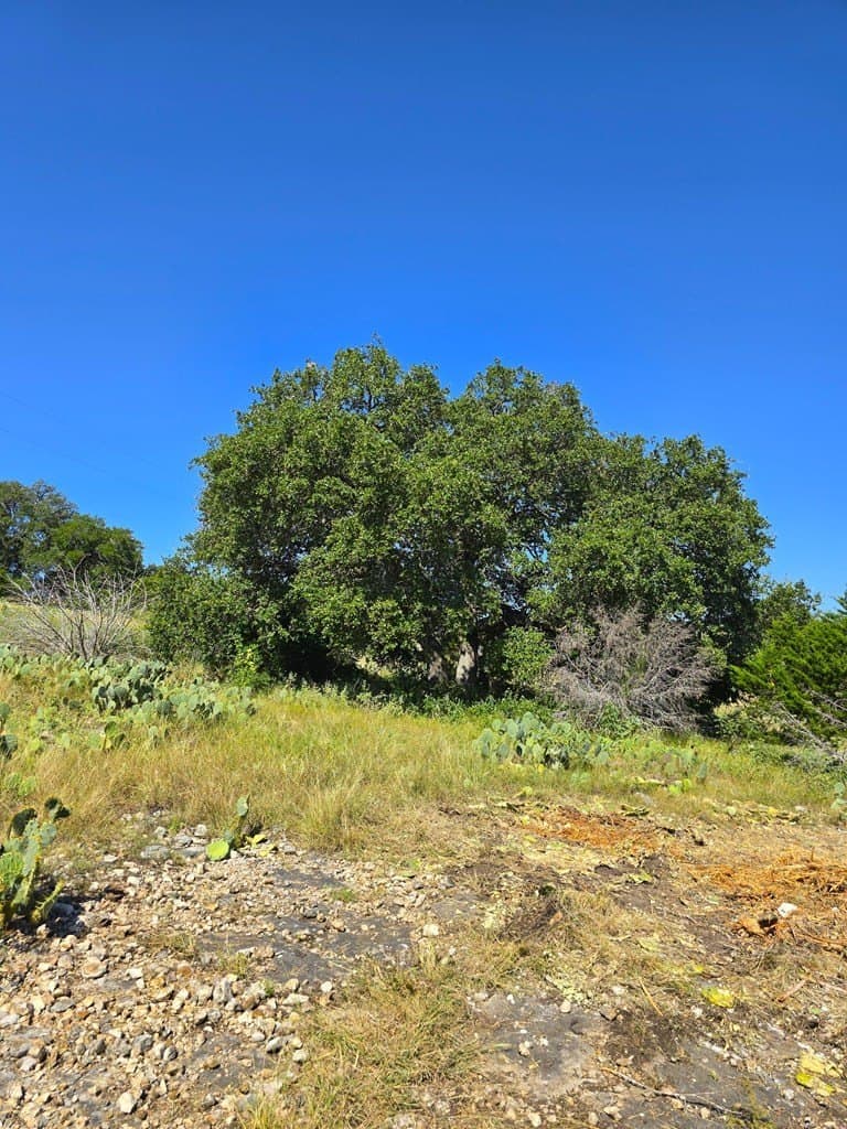 60.01 acres in Real County - photo 28
