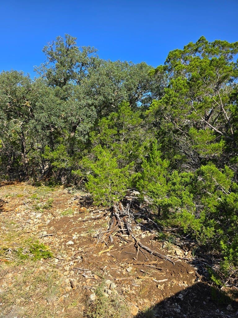 60.01 acres in Real County - photo 39