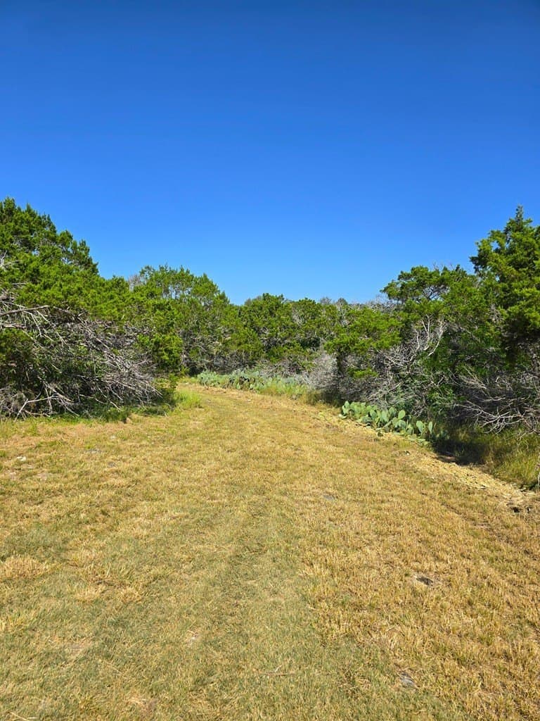 60.01 acres in Real County - photo 24
