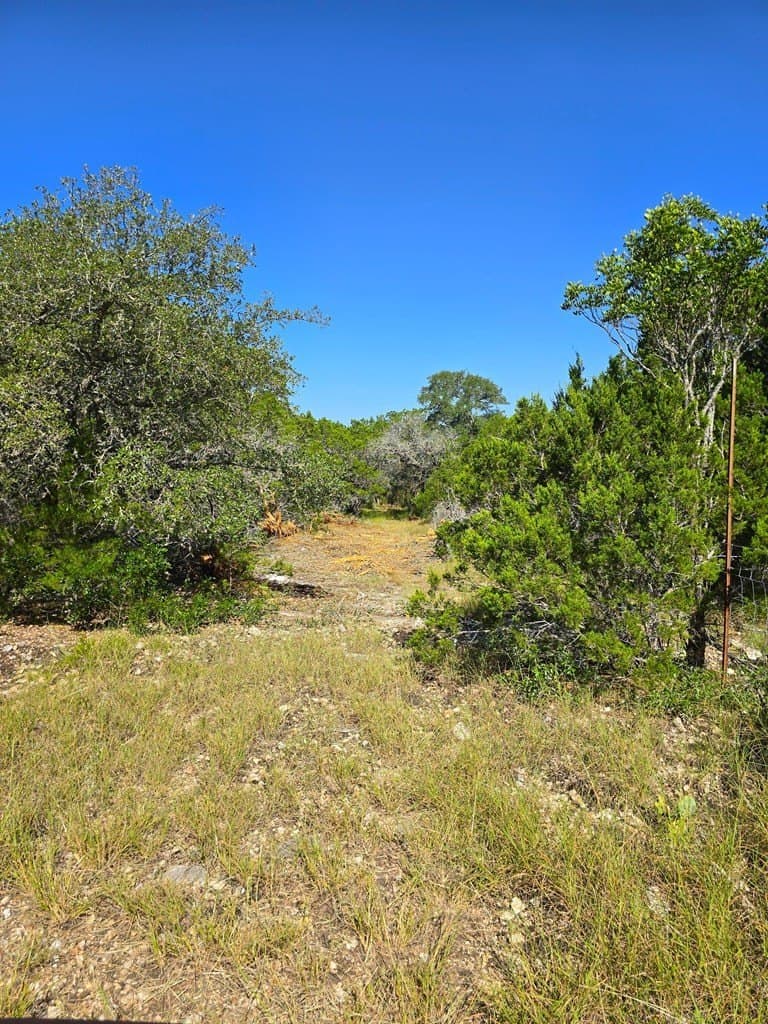 60.01 acres in Real County - photo 56