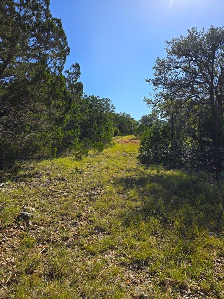 60.01 acres in Real County - photo 46