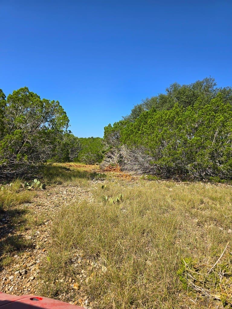60.01 acres in Real County - photo 61
