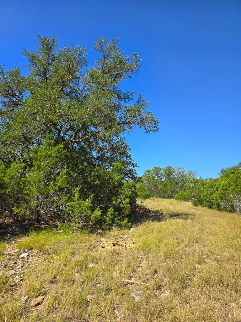 60.01 acres in Real County - photo 65