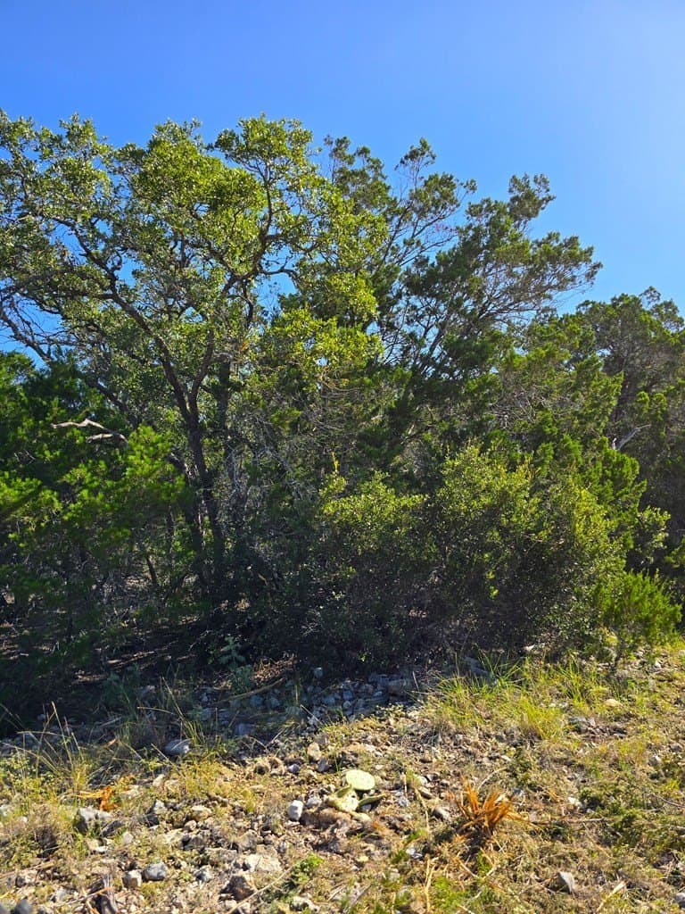 60.01 acres in Real County - photo 47