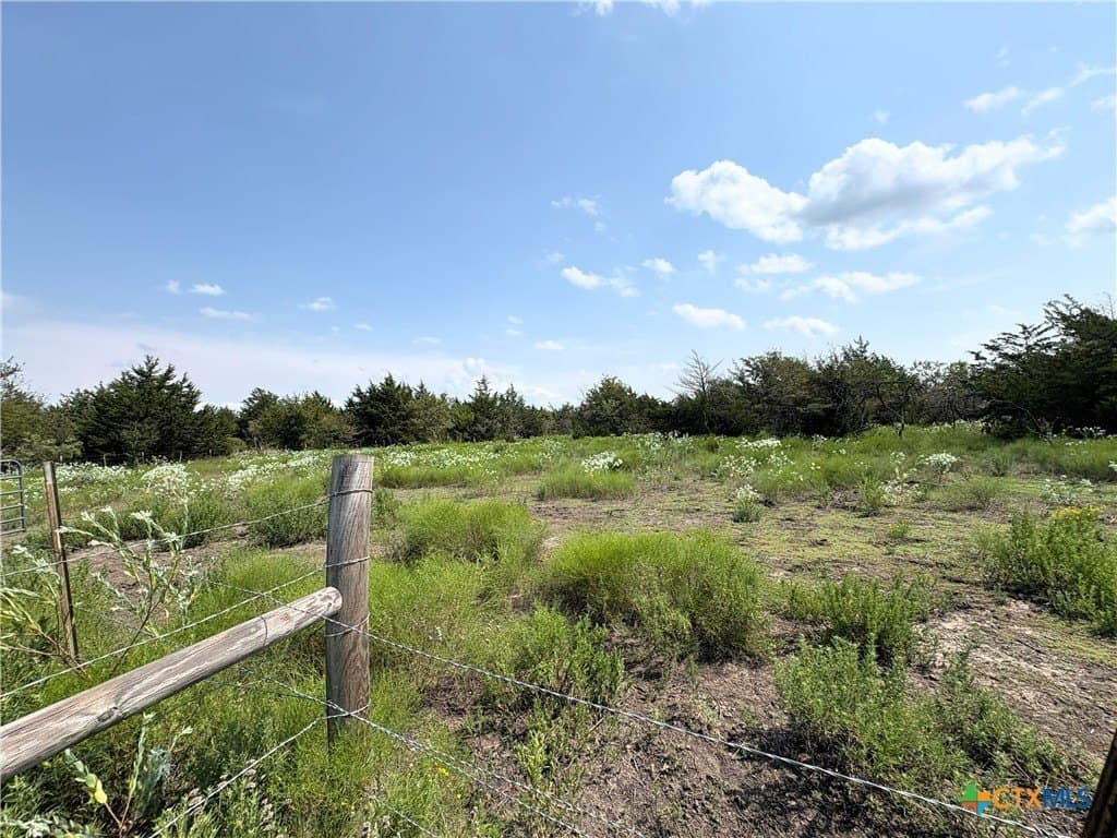 16.54 acres in Limestone County - photo 7