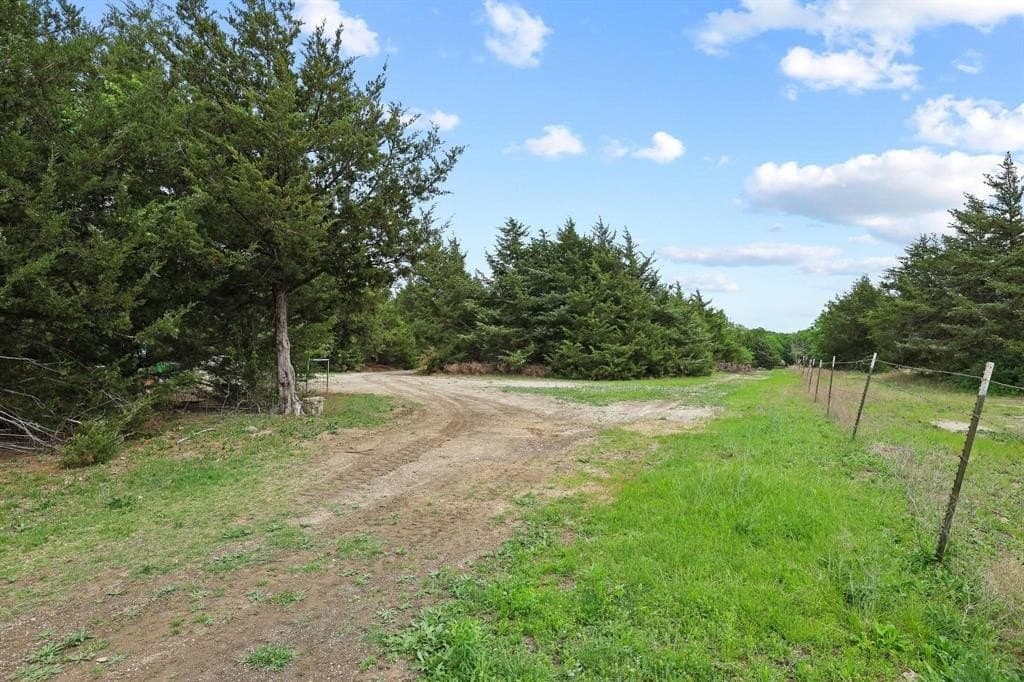 13.28 acres in Fannin County gallery image 3