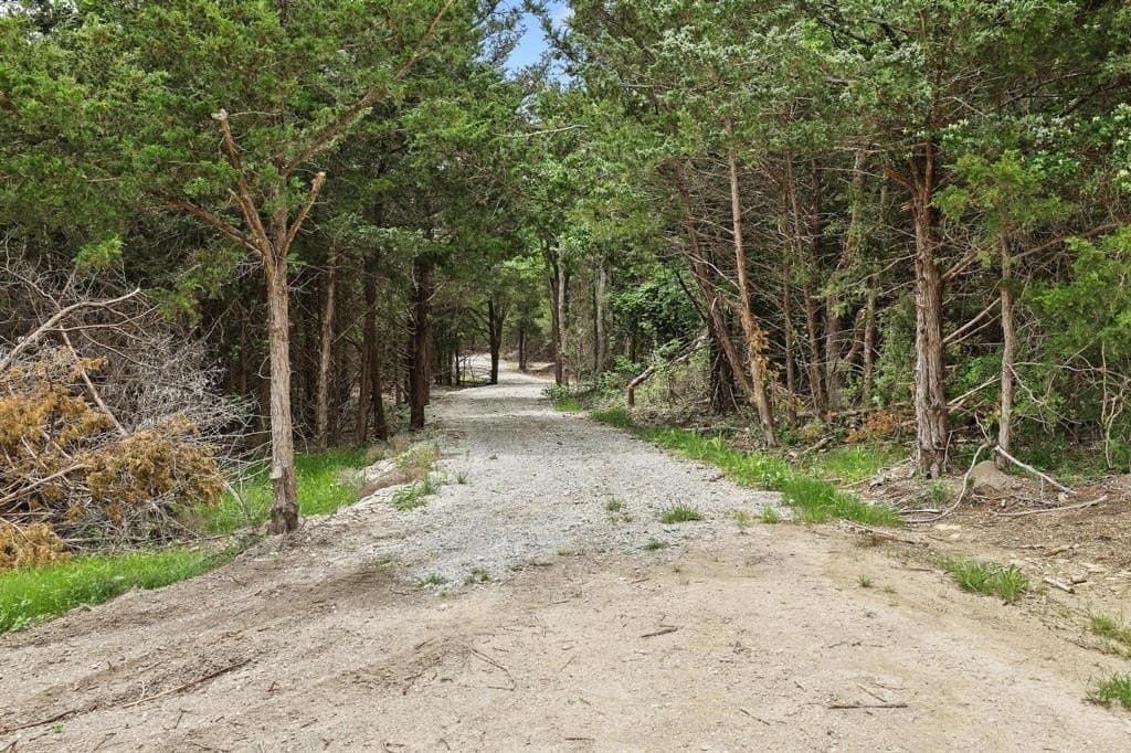 13.28 acres in Fannin County gallery image 4