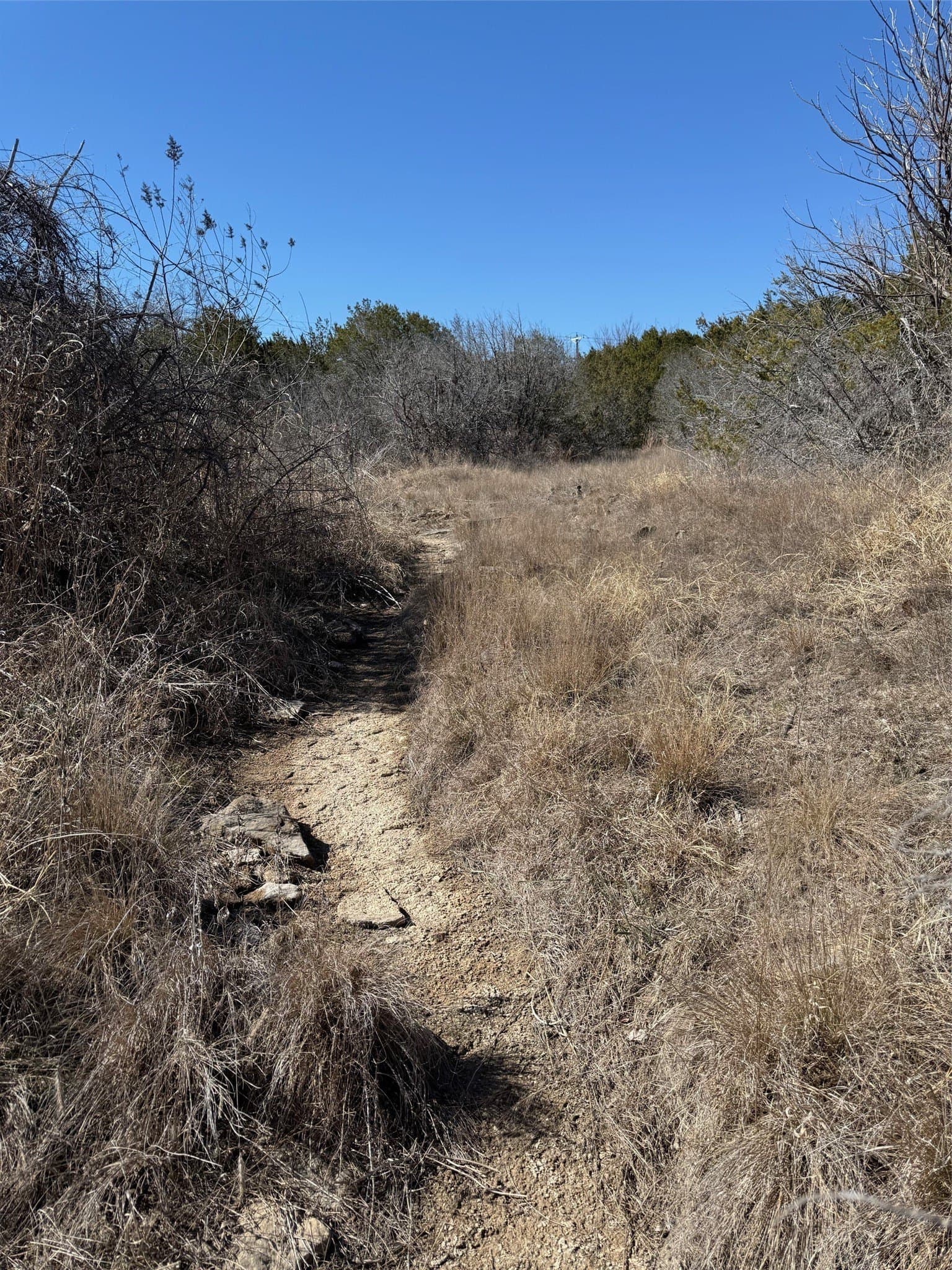 16.06 acres in Hood County - photo 28