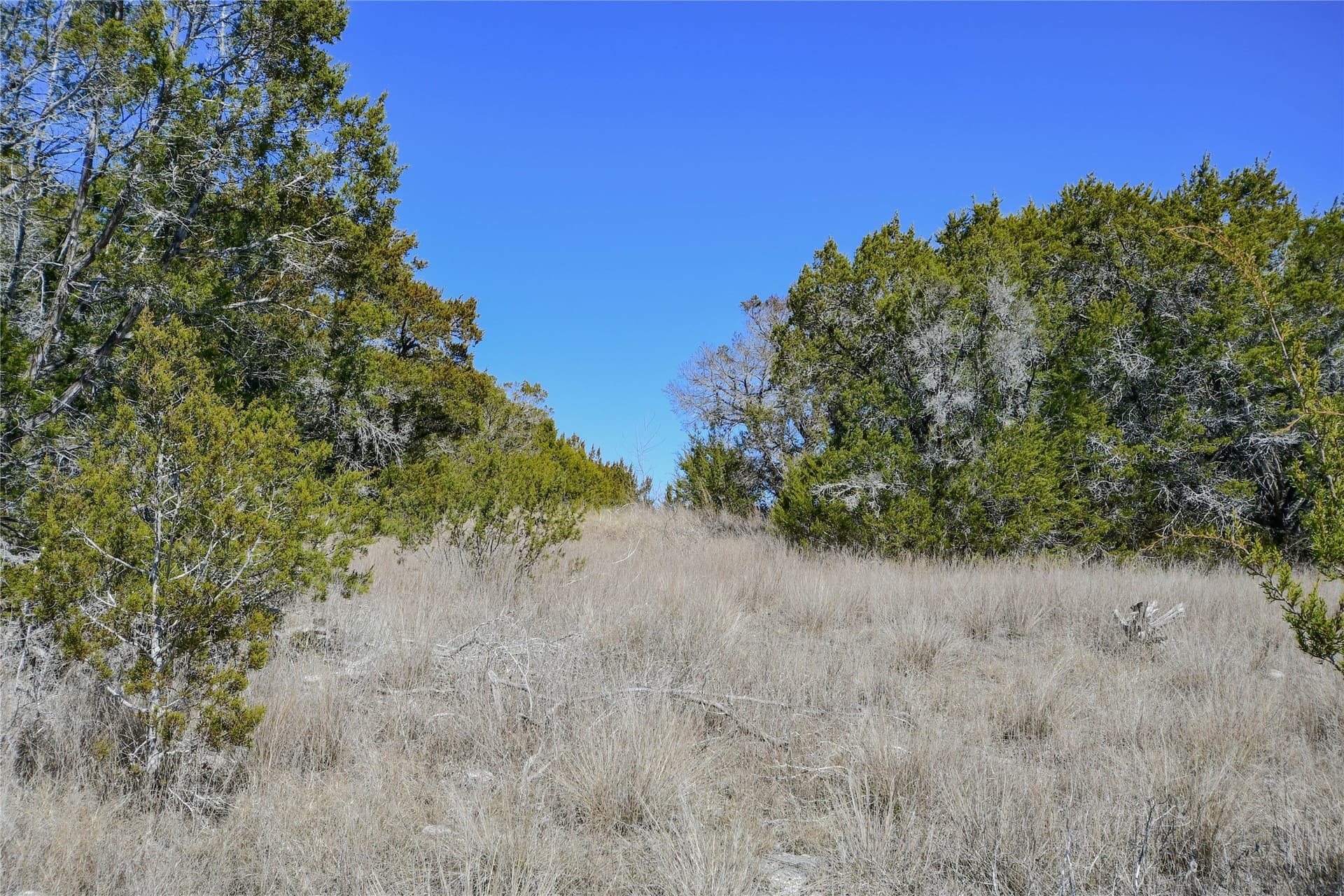 16.06 acres in Hood County - photo 27