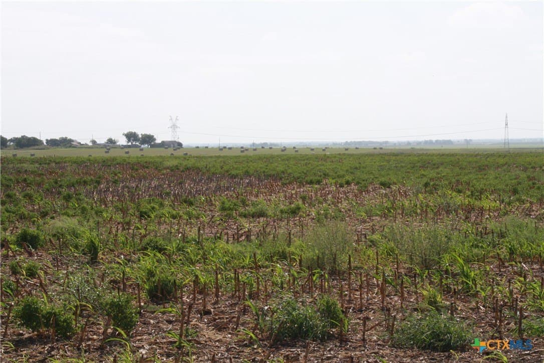 11 acres in Bell County - photo 6