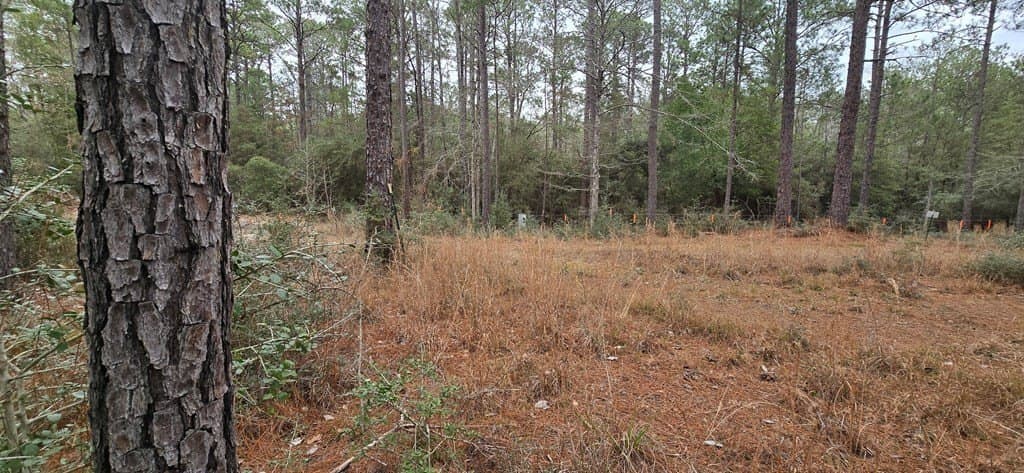 0.47 acres in Texas County - photo 3