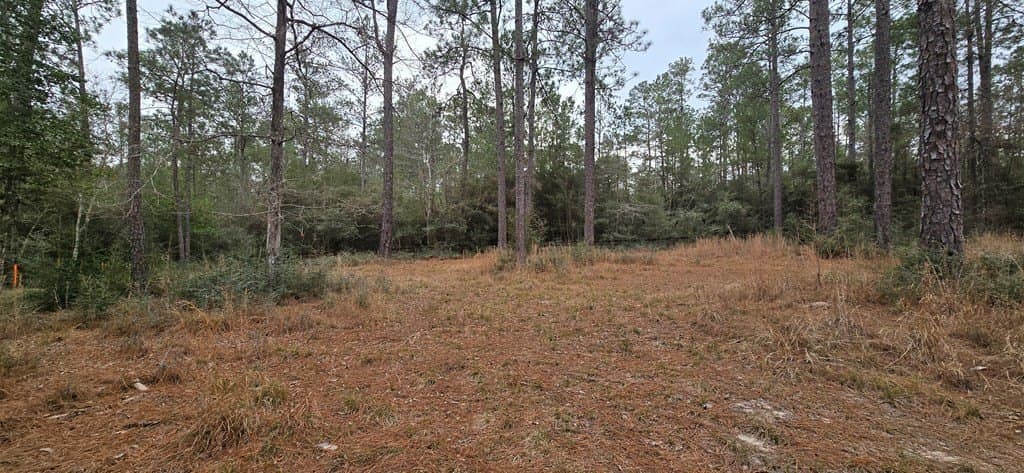 0.47 acres in Texas County - photo 4