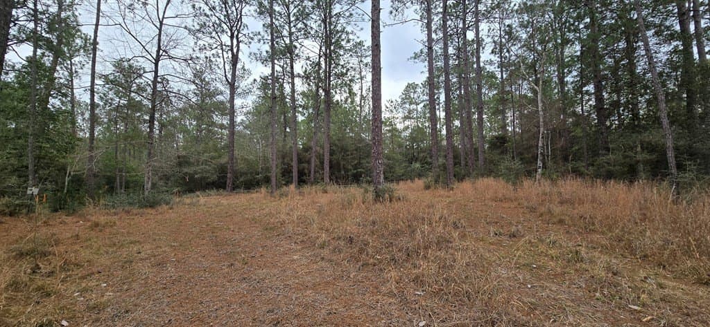 0.47 acres in Texas County - photo 6
