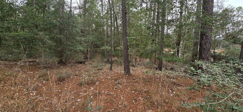 0.47 acres in Texas County - photo 7
