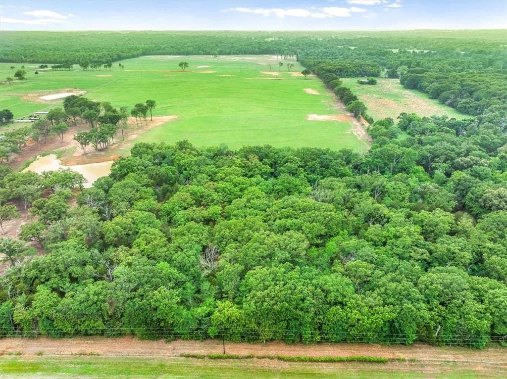 8 acres in Van Zandt County gallery image 2