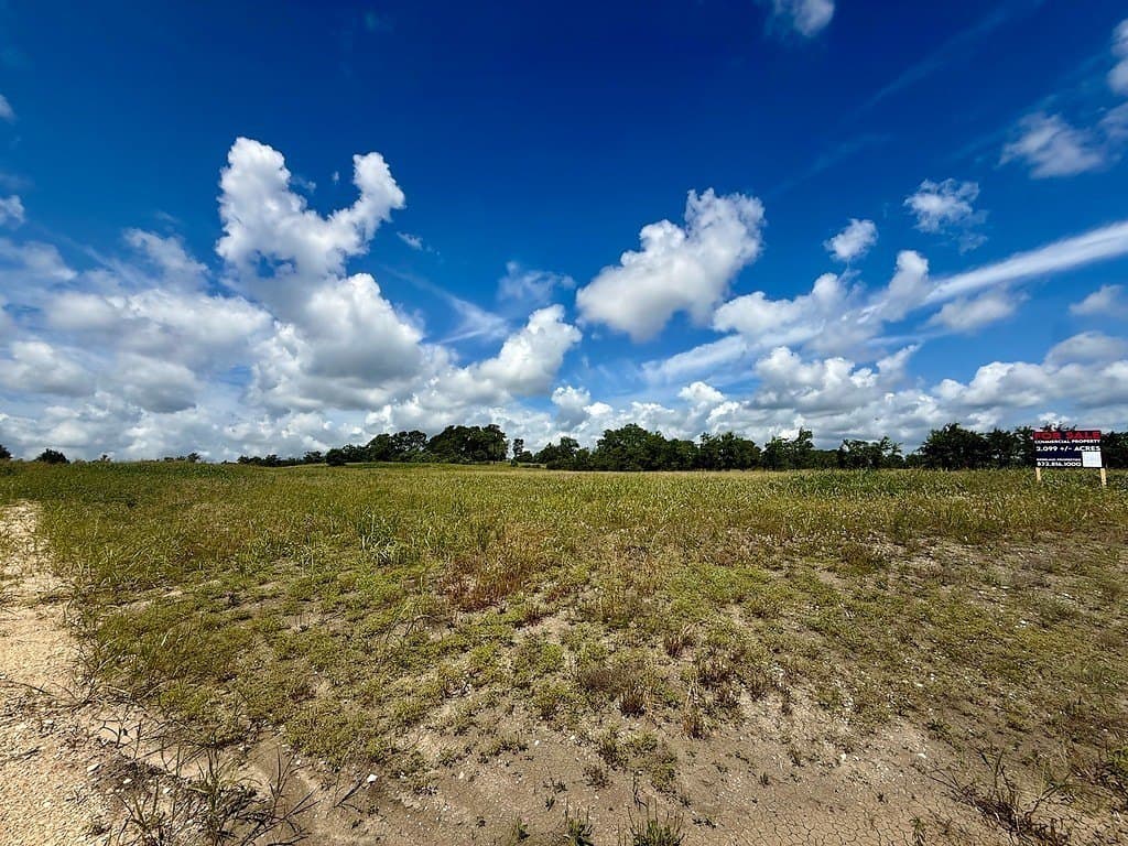 2.01 acres in Austin County gallery image 4
