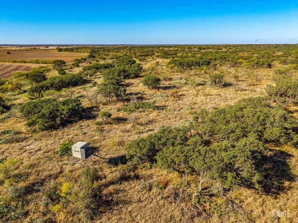 385 acres in Concho County - photo 23