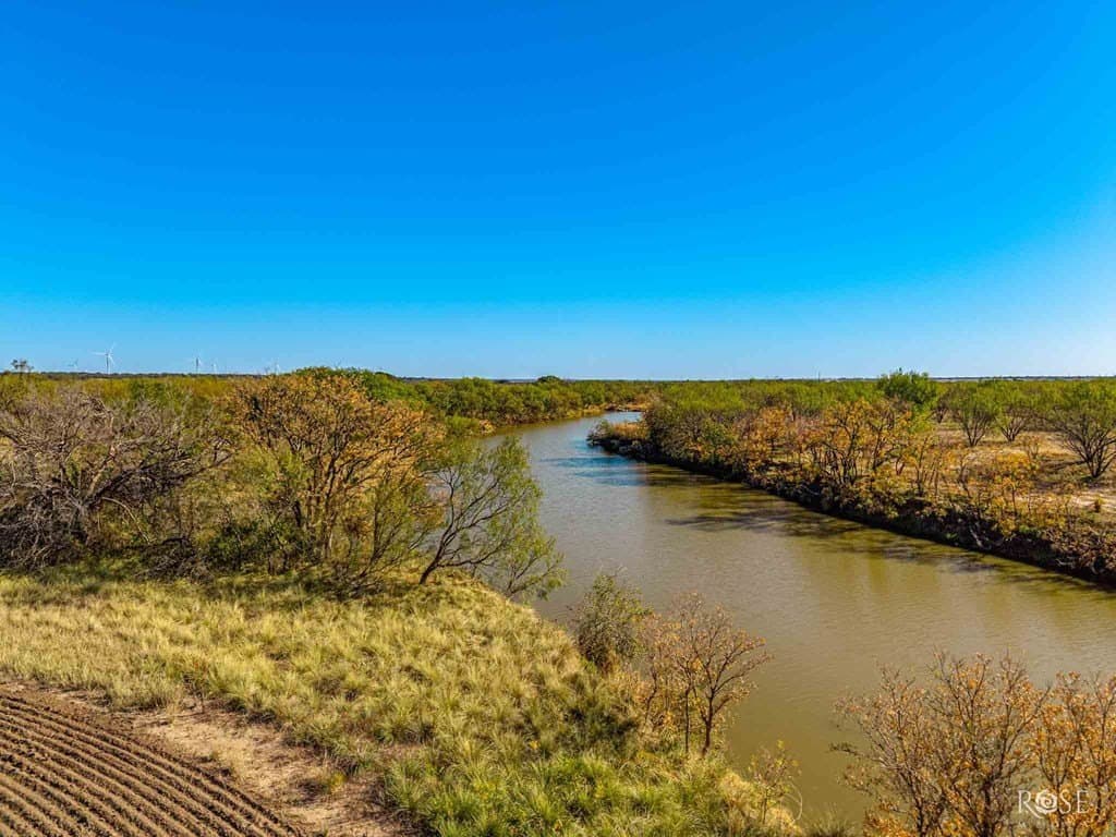 385 acres in Concho County gallery image 4