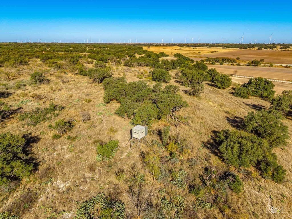 385 acres in Concho County - photo 24