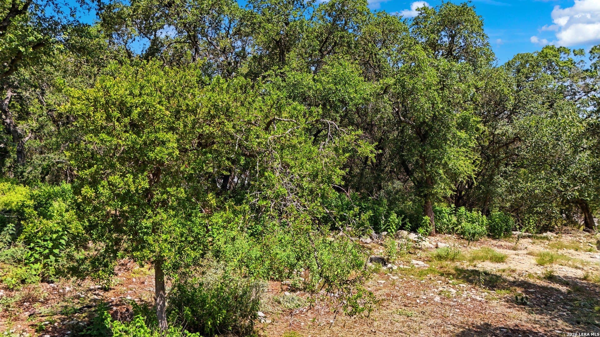 0.29 acres in Comal County - photo 10