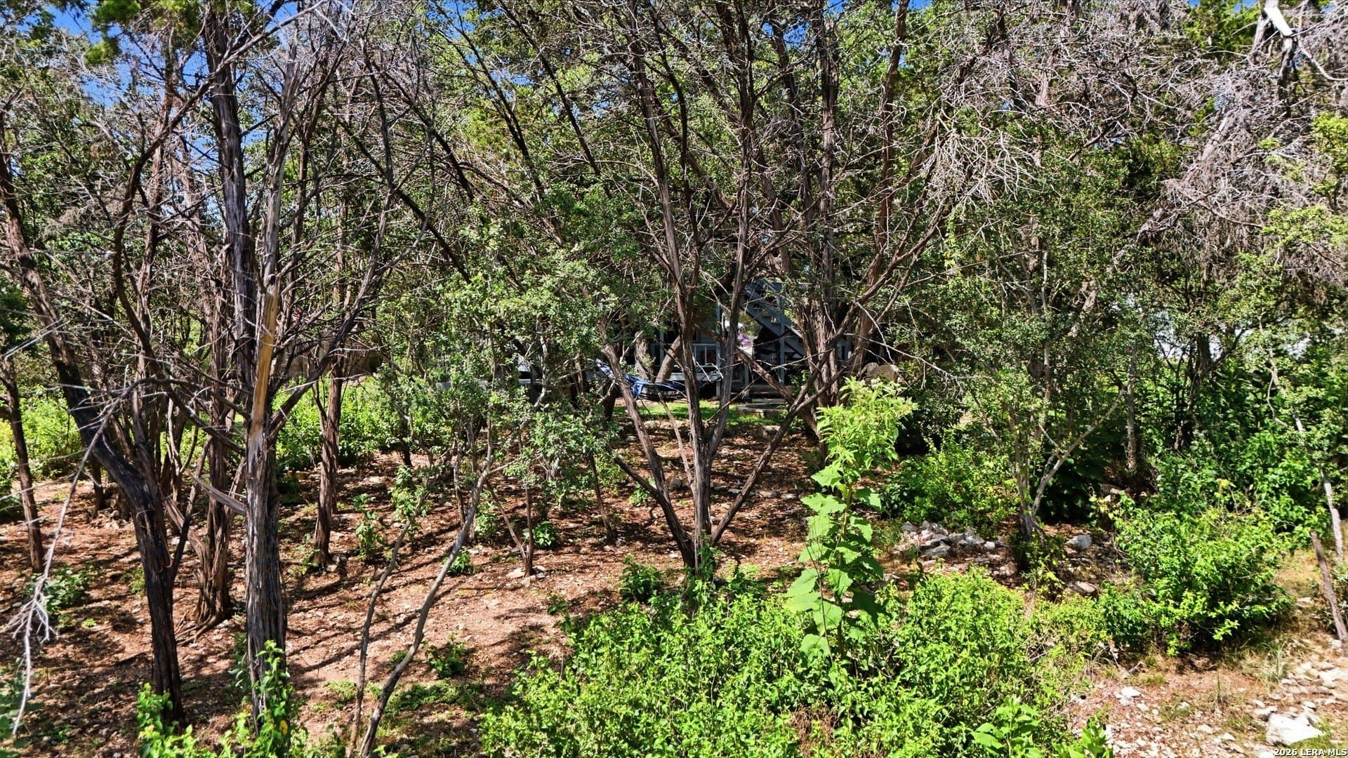 0.29 acres in Comal County - photo 11