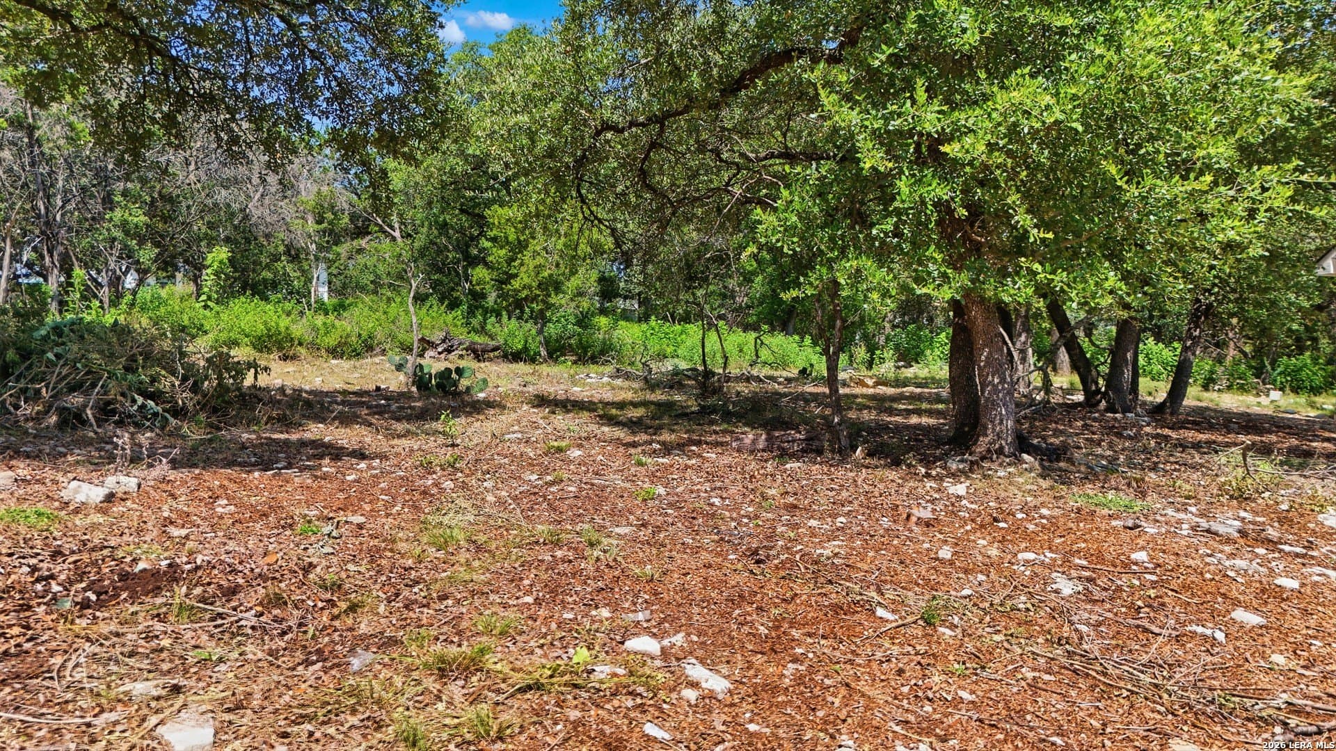 0.29 acres in Comal County - photo 8