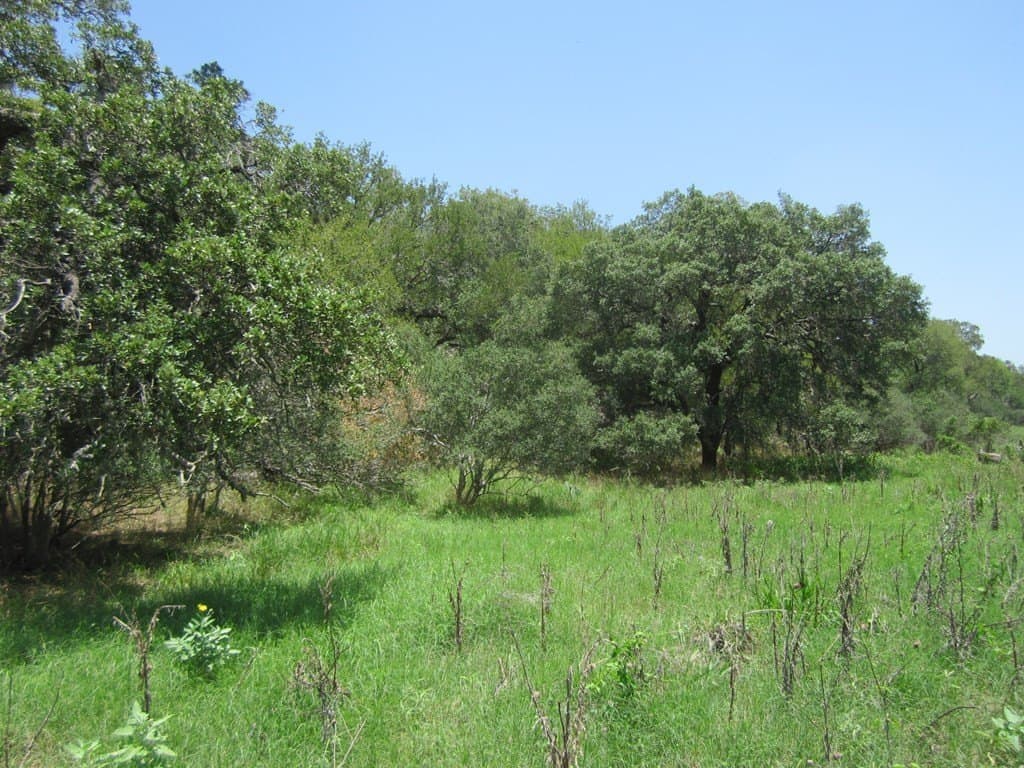 15.12 acres in Bandera County - photo 23