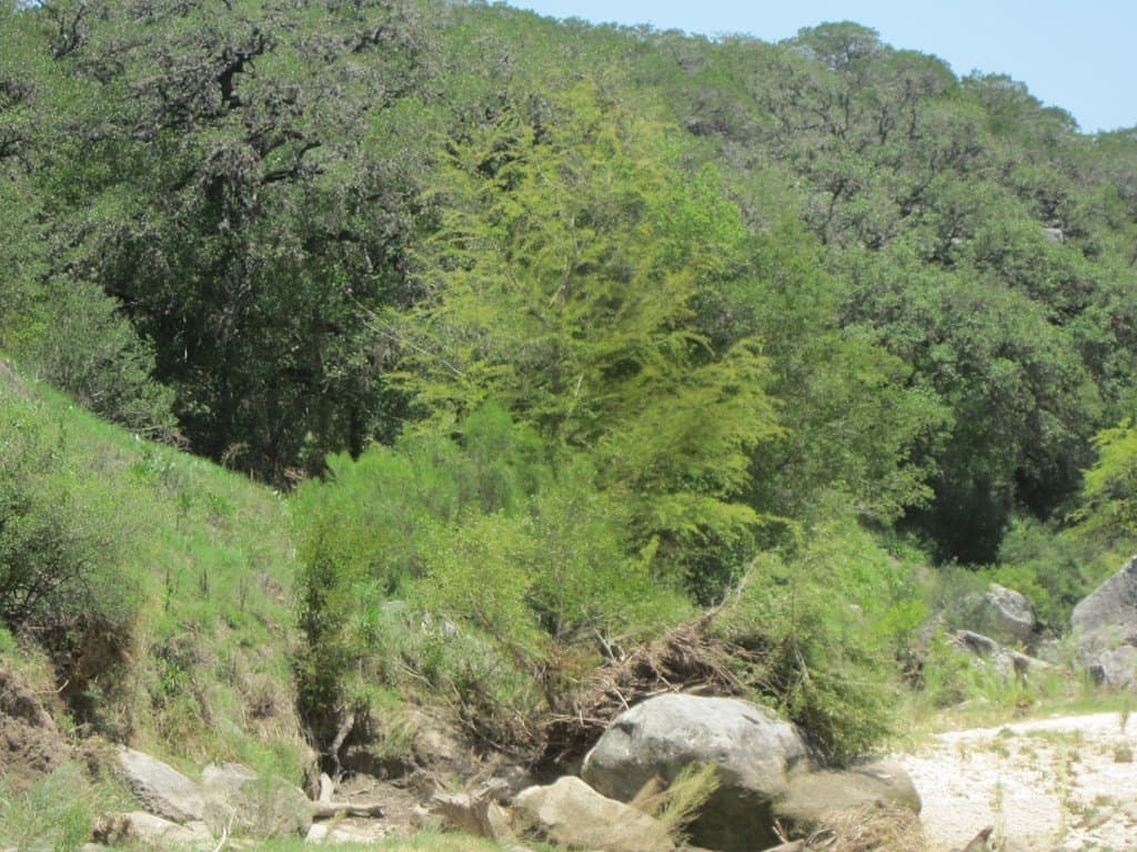 15.12 acres in Bandera County - photo 7