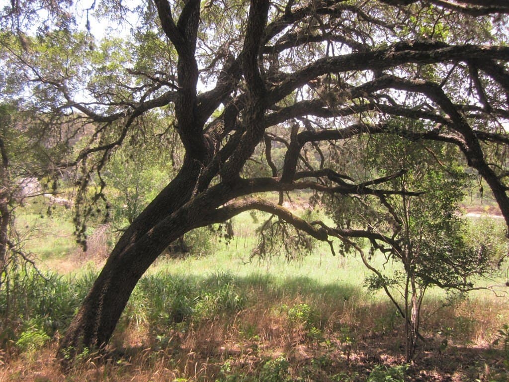 15.12 acres in Bandera County - photo 14