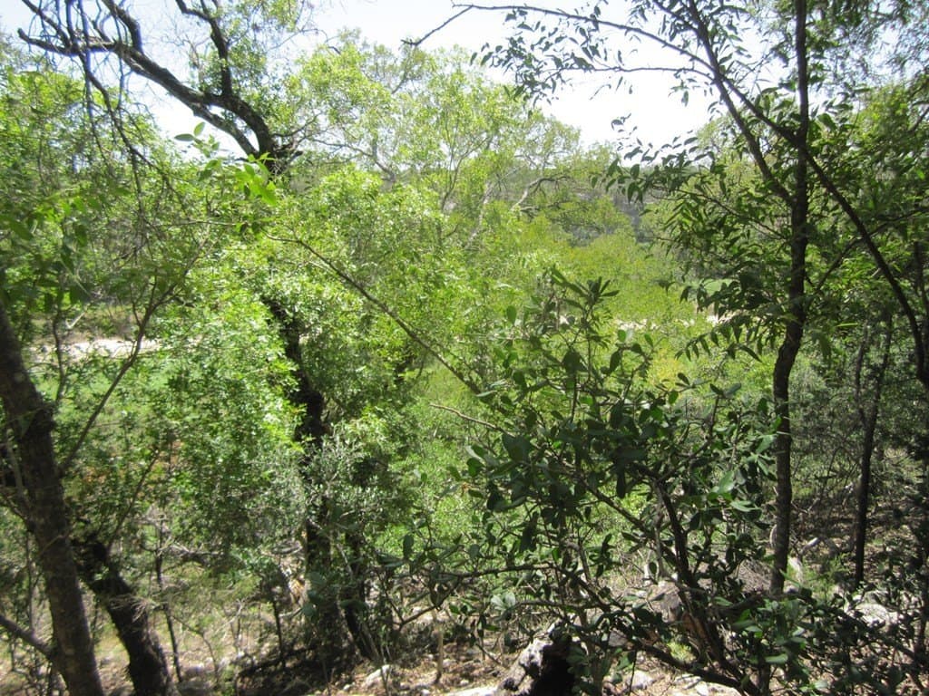 15.12 acres in Bandera County - photo 15