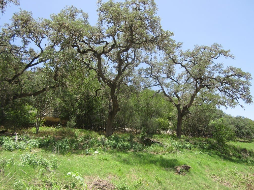 15.12 acres in Bandera County - photo 9