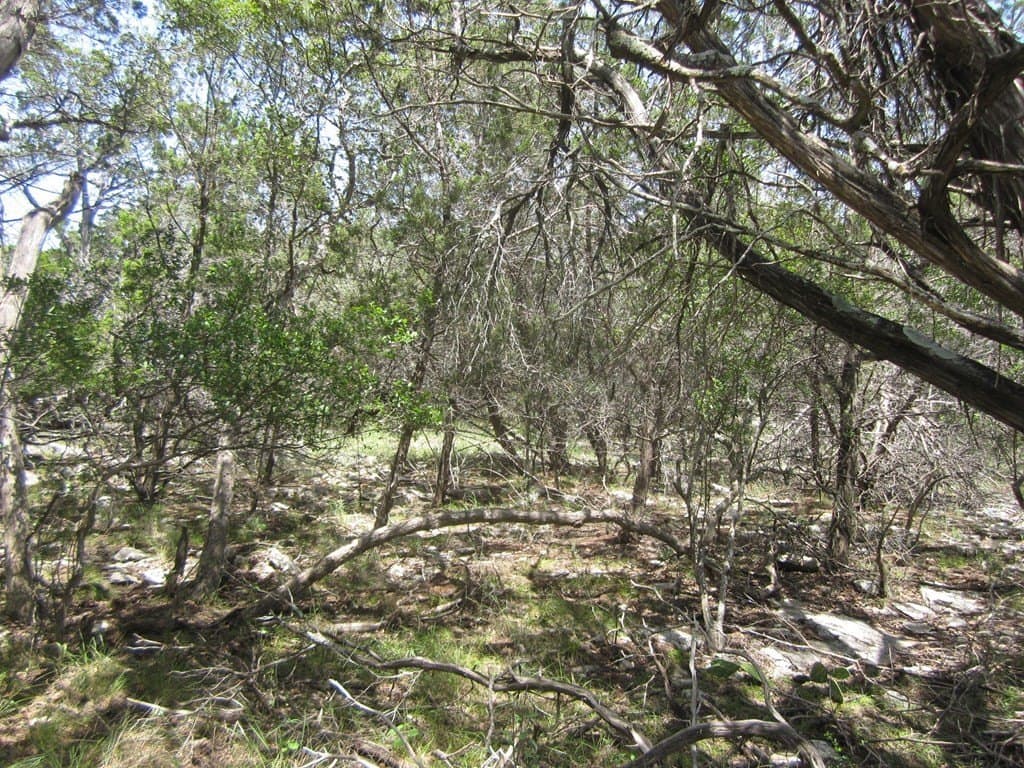 15.12 acres in Bandera County - photo 19