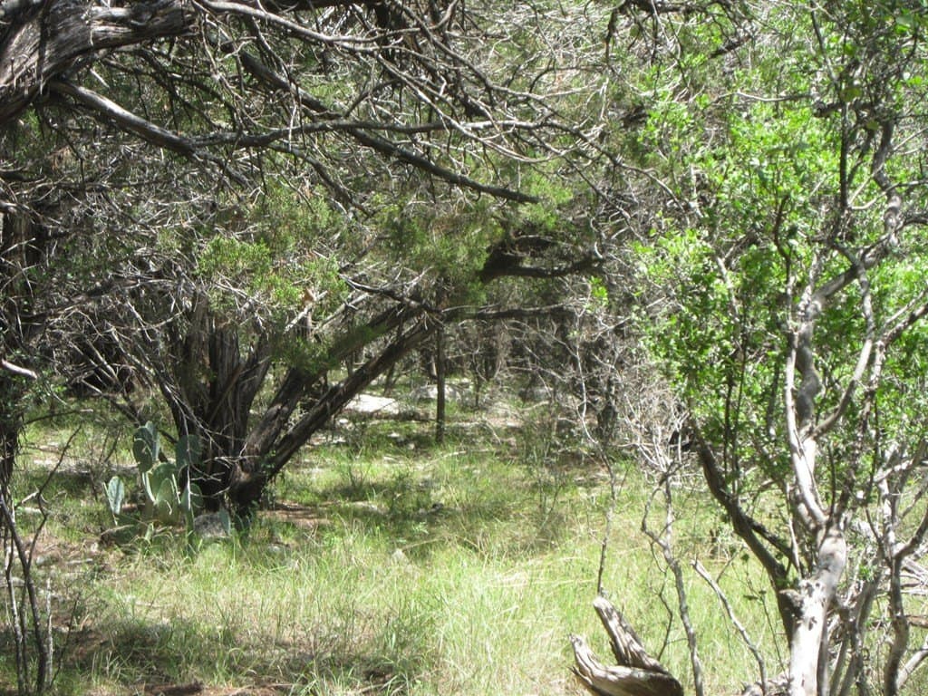 15.12 acres in Bandera County - photo 20