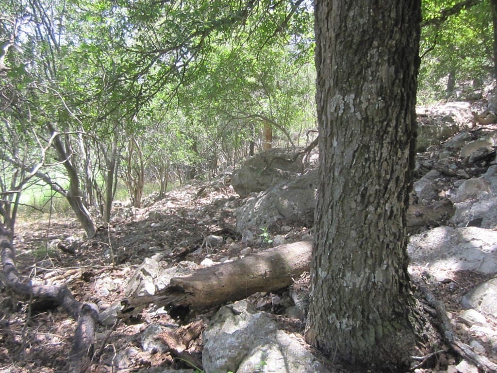15.12 acres in Bandera County - photo 16