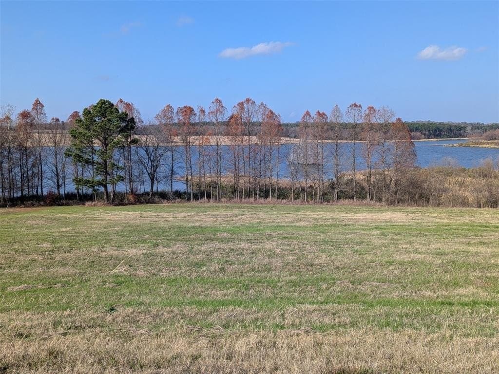 1.14 acres in Henderson County gallery image 4