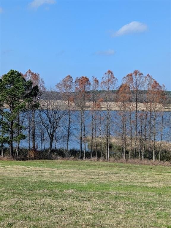 1.14 acres in Henderson County gallery image 2