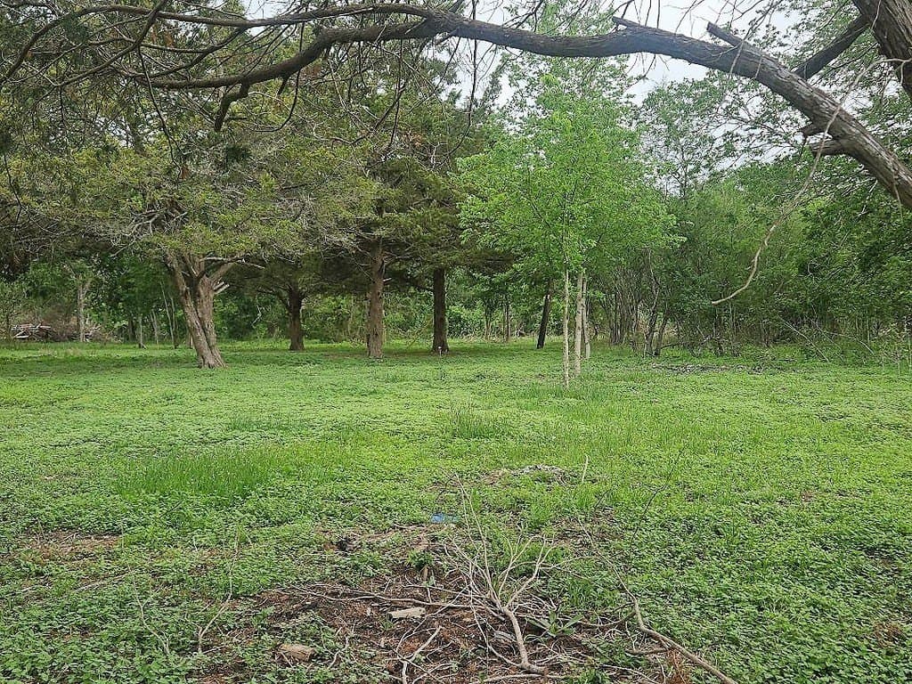 4.5 acres in Washington County gallery image 2