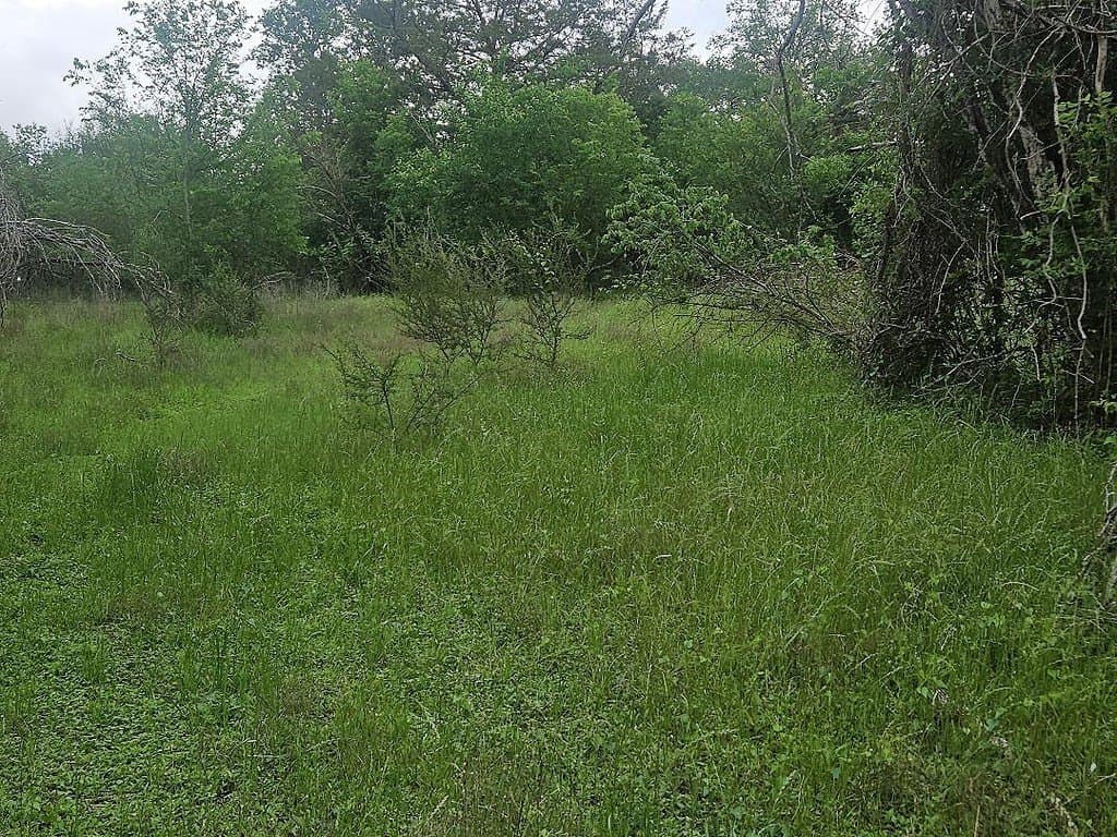 4.5 acres in Washington County gallery image 4