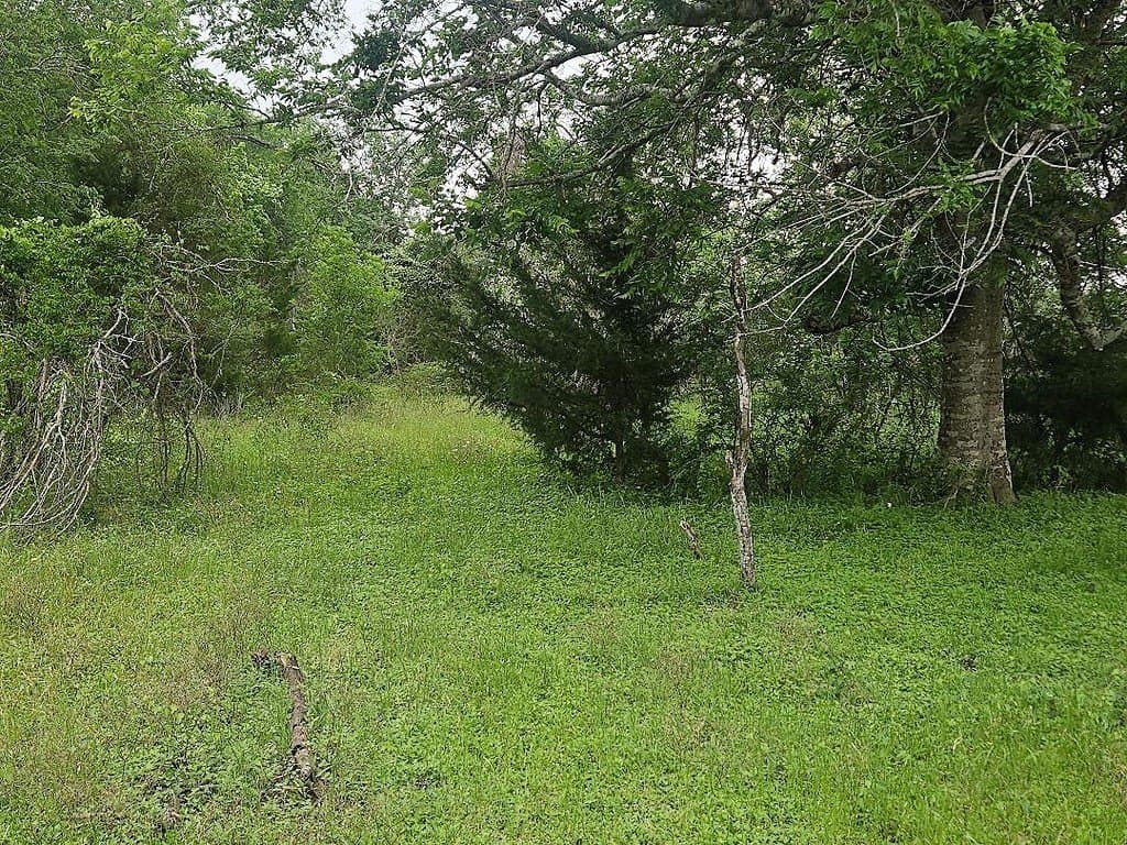 4.5 acres in Washington County featured view