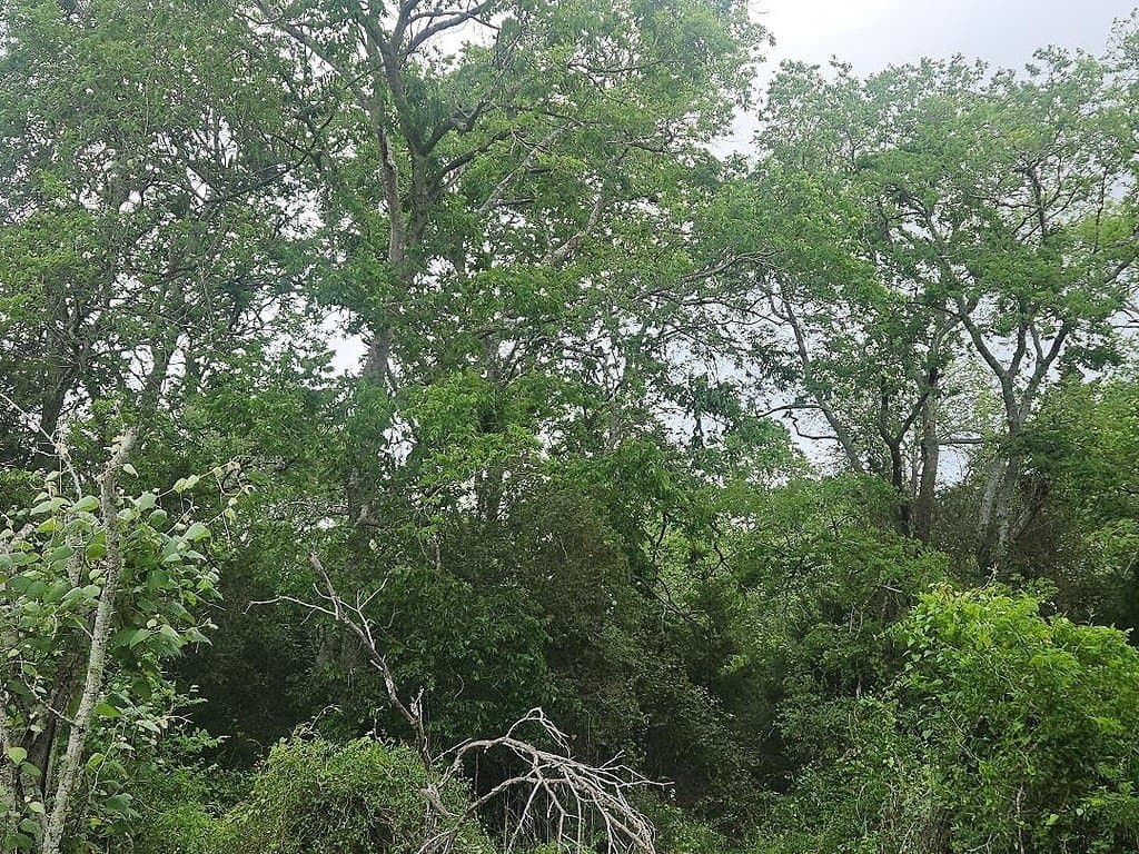 4.5 acres in Washington County gallery image 3