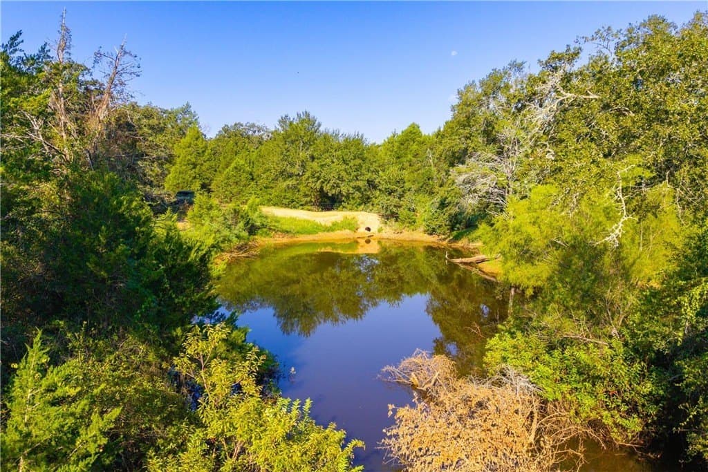 104.1 acres in LEE County - photo 15